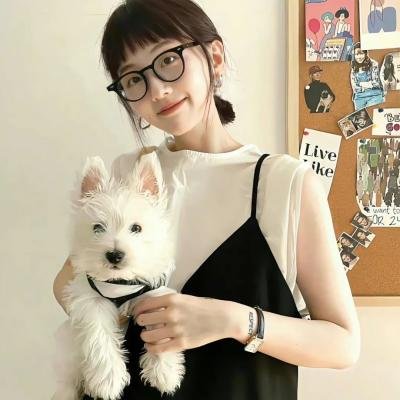 超级无敌掌门狗:引鹅入室