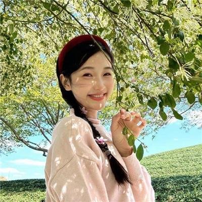 让叶兰在空中飞舞