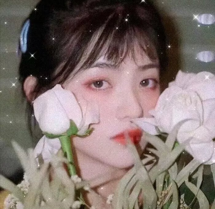 高粱红了